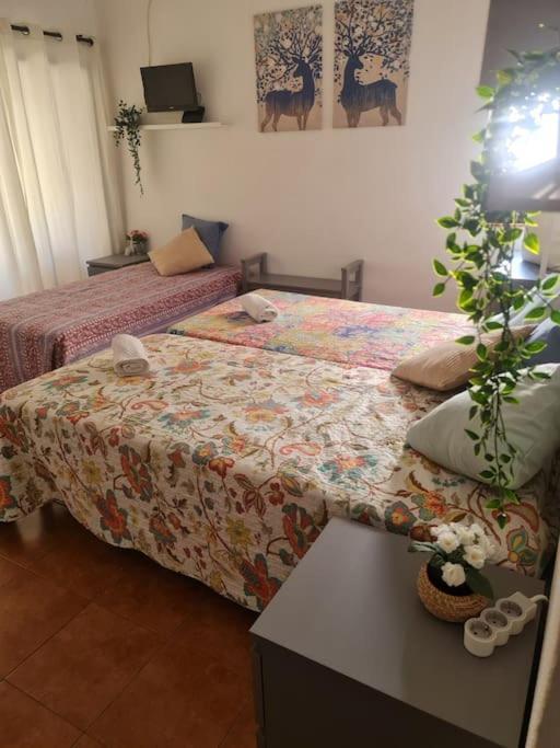 Apartament Pedras Del Rei - Local Magico Tavira Zewnętrze zdjęcie